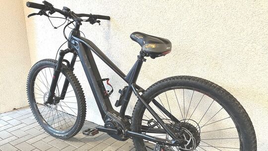 Pedelec Bild 3