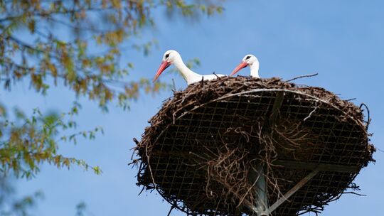 Wetter in Rheinland-Pfalz