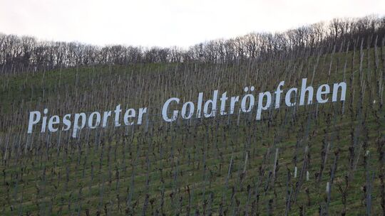Die Bezeichnung der Weinlage Piesporter Goldtröpfchen soll so bleiben können, wie sie ist. Dafür müssen Flächen zwischen Neumage