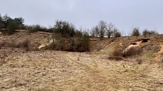 Dieser Besuch am "Meeressand" auf dem Kuhberg entfällt demnächst durch die Verlegung der Wanderwege. Dabei handelt es sich um 30