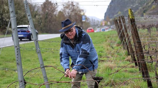 Gotthard Emmerich arbeitet direkt neben der B42 an seinen Weinreben.