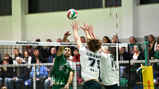 Vor möglichst vollen Rängen wollen die Westerwald Volleys (hier mit Alexander Krippes im Angriff) am Samstagabend die letzten Zw