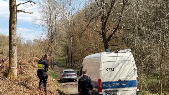 Menschlicher Kopf gefunden - Mordkommission ermittelt
