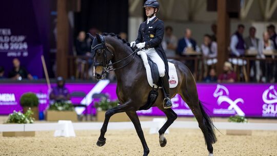 Raphael Netz Raphael Netz