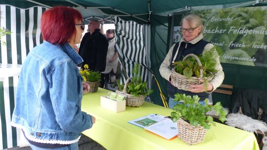 Der Pflastermarkt ist ein der Aktionen, mit denen der Gewerbering die Katzenelnbogener Innenstadt „in Schwung" hält.