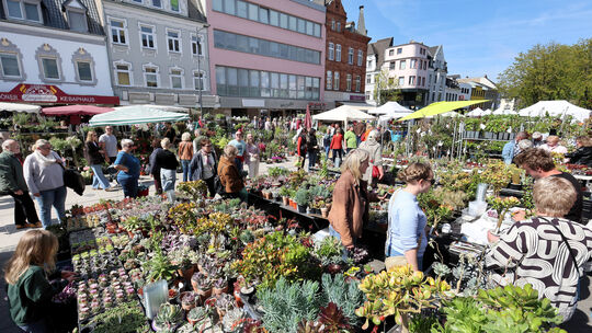 Eindrücke vom Neuwieder Gartenmarkt 2026