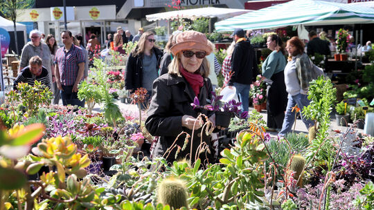Beim Neuwieder Gartenmarkt gab es einiges für die Besucher zu entdecken.