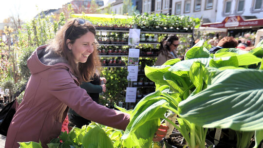 Der Neuwieder Gartenmarkt hat viel zu bieten. Wir haben die Besucher gefragt, womit sie der Gartenmarkt gelockt hat.