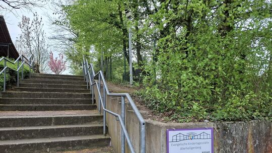 Die Kita auf dem Allerheiligenberg hat ein Problem mit Wildschweinen. Und nicht nur sie, der gesamte Bereich wird immer wieder v