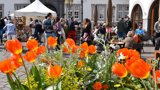 Die farbenprächtigen Blumenarrangements passten zum bunten Veranstaltungsangebot.