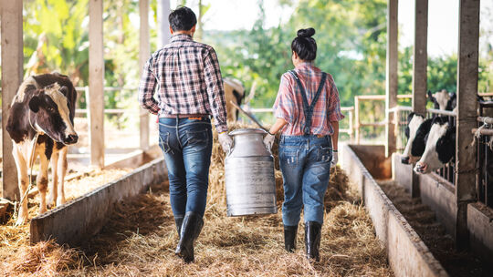 Seit 2005 suchen bei der RTL-Sendung "Bauer sucht Frau" Landwirte (und ab und an auch Landwirtinnen) ihr Glück.