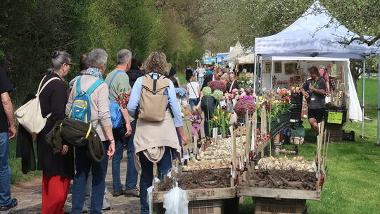 Die Qual der Wahl bei der Green Art Production aus Alkmaar, manchmal erleichterte sie der Ruf von Jan Stins: „Sechs Allium for z