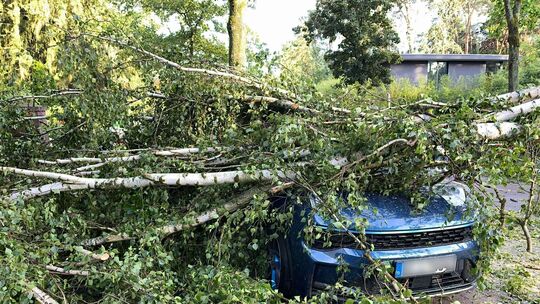 Schaden durch Naturgefahren. Schaden durch Naturgefahren.