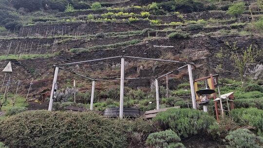 Blick auf den Würzlaygarten der Lehmer Razejunge: Die Anlage dient als außerschulischer Lernort. So erhalten hier Grundschüler u