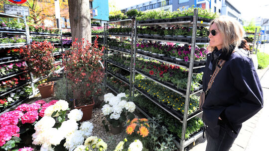 Blumen in vielen Sorten und Größen zählten zum Angebot des Gartenmarktes in Neuwied.