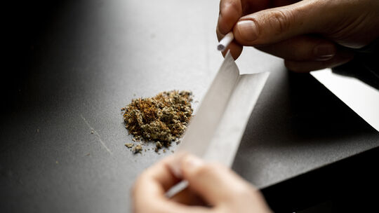 Vor zwei Jahren trat in der Bundesrepublik die Teillegalisierung von Cannabis durch das Konsumcannabisgesetz (CanG) in Kraft. Un Vor zwei Jahren trat in der Bundesrepublik die Teillegalisierung von Cannabis durch das Konsumcannabisgesetz (CanG) in Kraft. Un