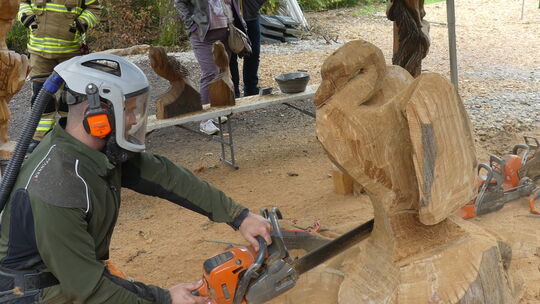 Andy Assmann aus Tiefenbach kreierte aus einem Baustamm einen Schwan.