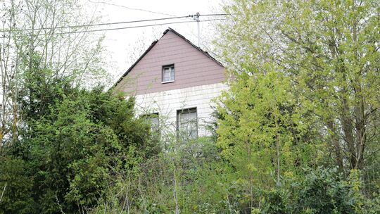 Aufgrund des Bewuchses ist vom Burplatz nur der Oberteil des Gebäudes zu erkennen.