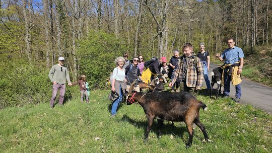 Ein Dutzend Teilnehmer der Ziegenwanderung traf sich unter dem Motto "weg von der Hektik des Alltags, hinein in die Natur".