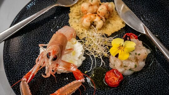 Scampi-Trilogie von David Žilić