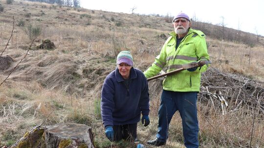 Gertrud und Alexander Lürmann bei der Arbeit: Das Ehepaar aus dem Hunsrück hat Hunderte Bäume in Malborn gepflanzt, um den Wald
