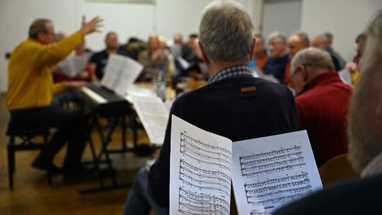 Besonders beim Singen muss die menschliche Stimme Höchstleistungen vollbringen.