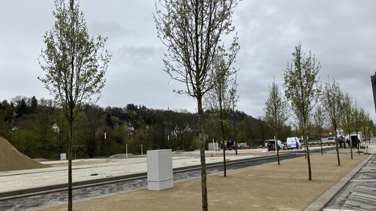 Der Talweiherplatz steht kurz vor der Fertigstellung. Fast alle Bäume sind bereits gepflanzt.