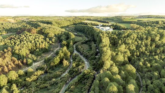 Anhand dieser fotorealistischen Visualisierung möchte die Stiftung Natur und Umwelt Rheinland-Pfalz zeigen, wie sich die Nister-