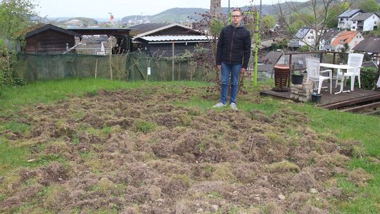Matthias Mehren ist immer wieder fassungslos, was Wildschweine anrichten können.