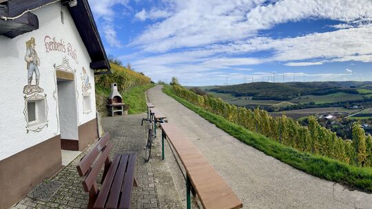 Ein Besuch im Oktober, wenn die Reben an "Heribert´s Ruh" ordentlich in Farbe sind...