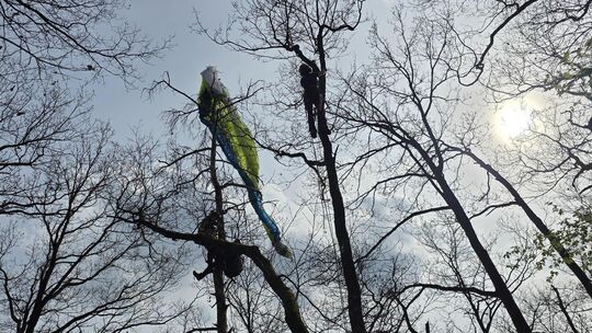 Aus etwa 15 Meter Höhe musste ein Paraglider bei Roßbach gerettet werden.