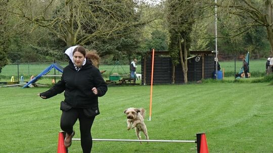 Die Übungen sind für den Menschen und sein Tier eine sportliche Herausforderung.