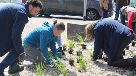 Mit vereinten Kräften wird aus der leeren Fläche eine (in Zukunft) blühende Landschaft.