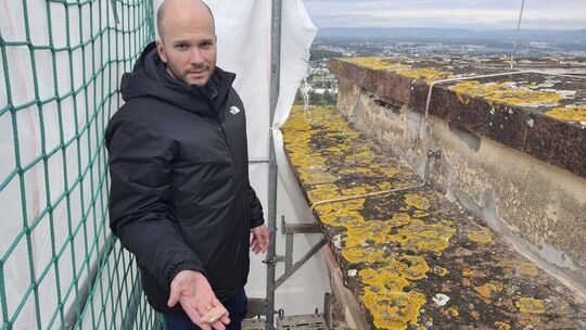 Architekt Daniel Becker hoch oben über der Stadt Koblenz: Er zeigt abgesprengtes Gestein am Gesims des Casinos auf dem Festungsp