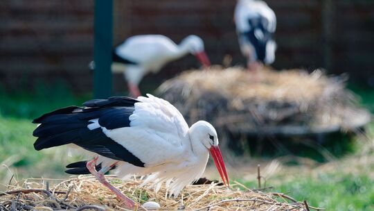 Wetter in Rheinland-Pfalz