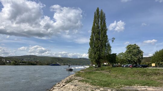 Am Freitagvormittag ist an einem Anleger in der Nähe des Campingplatzes in Braubach eine Wasserleiche entdeckt worden.
