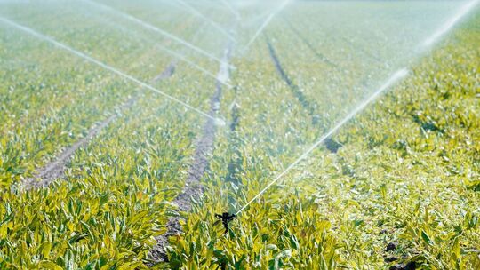 Bewässerung in der Landwirtschaft