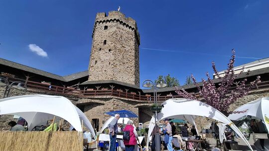 Bei der Aktion „Grüner Balkon“ geht es darum, Lahnstein fit für den Frühling zu machen und zum Blühen zu bringen.