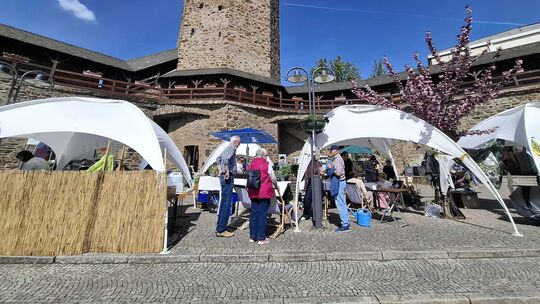 Bei der Aktion „Grüner Balkon“ geht es darum, Lahnstein fit für den Frühling zu machen und zum Blühen zu bringen.