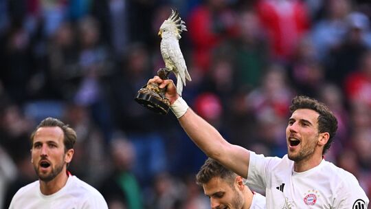 FC Bayern München - VfB Stuttgart