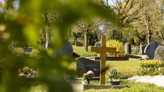 Nicht immer sind die Friedhöfe in Idar-Oberstein eine Oase der Ruhe und der Besinnung. Wenn Wildschweine einbrechen oder der Bau
