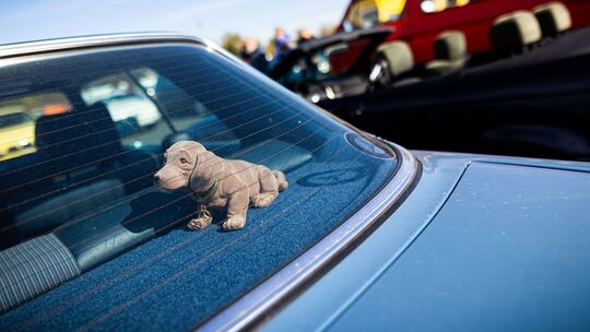 Wackeldackel sitzt in einem Auto