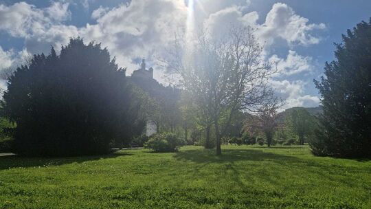 Auf einen der Kastanienbäume in den Braubacher Rheinanlagen wurde ein Hakenkreuz gesprüht. Die Polizei ermittelt in diesem Fall.