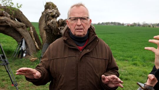 Rettungsaktion für den Buckelwal