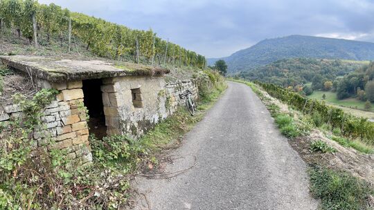 Von unserer Kieselberg-Wingertshütte schaut man hinüber zum Lemberg über Oberhausen.
