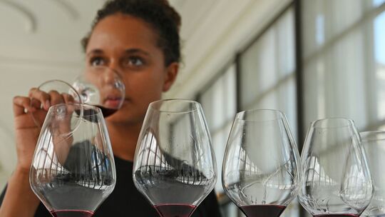 Spitzenweine werden geprüft