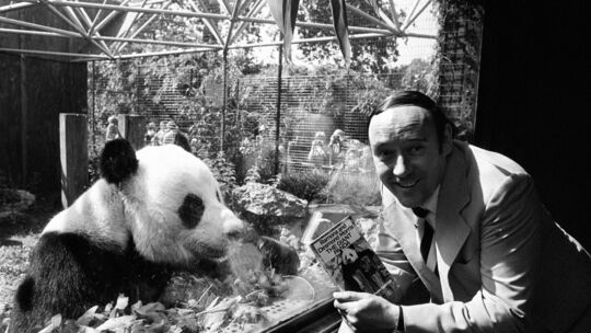 Britischer Zoologe Desmond Morris gestorben