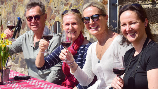 Der Weinfrühling in Dernau.