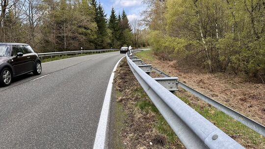 Entlang der K126 sind die Straßenränder kilometerweit aufgewühlt. Verantwortlich dafür sind Wildschweine, die Streusalzreste au