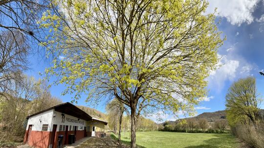 Der Booser Sportplatz wird seit dem Ende des TuS-Vereins vor zwei Jahren nicht mehr genutzt, hinter dem Gebäude soll der Mobilfu